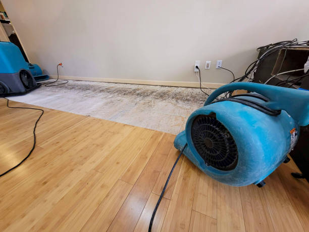 Professional Basement Flood Cleanup technician working in Wells, NV